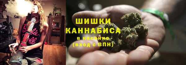 шишки Переславль-Залесский