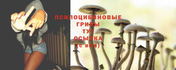 шишки Переславль-Залесский