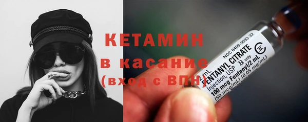 шишки Переславль-Залесский