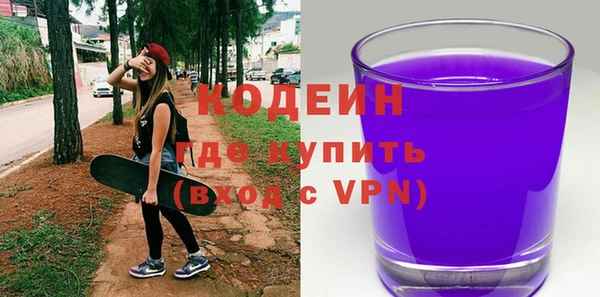 шишки Переславль-Залесский