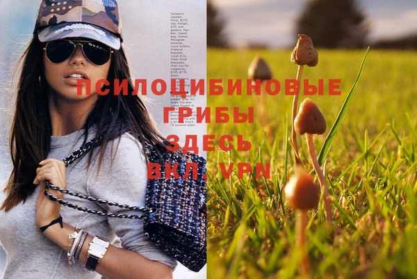 соль курить ск Пересвет