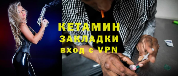 шишки Переславль-Залесский
