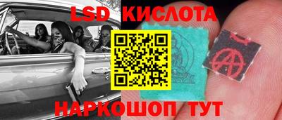 индика Ирбит