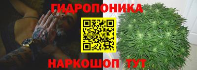 гидропоника Ипатово