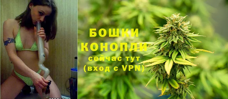 MEGA как зайти  Саки  Шишки марихуана SATIVA & INDICA  закладки 