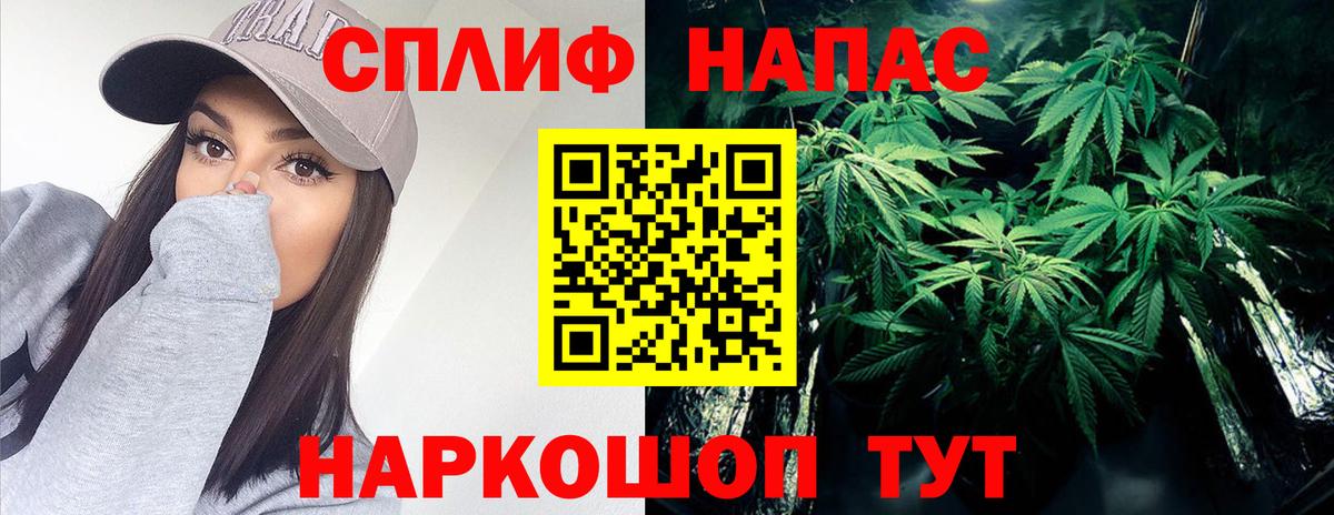 Марихуана конопля Саки